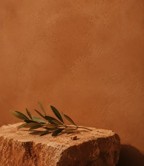 Branche d’olivier sur une pierre, dans l’univers terracotta d’Helios Suite & Spa.
